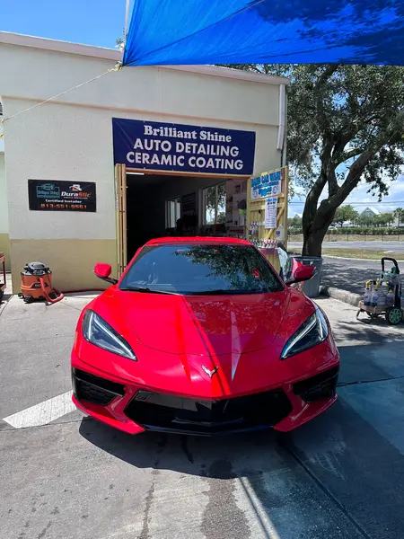 Professional Car Detailing